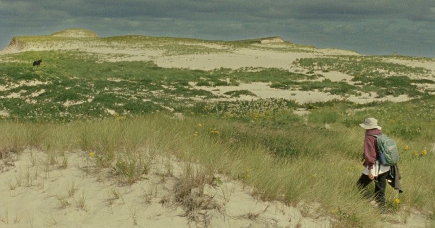 My Own Private Top Ten Films of 2022 대표 이미지