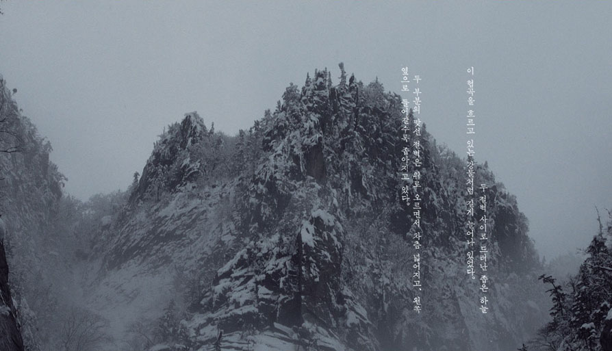 Blurred Boundaries: Minseung Jang, Hueng-soon Im, Kelvin Kyung Kyun Park 대표 이미지